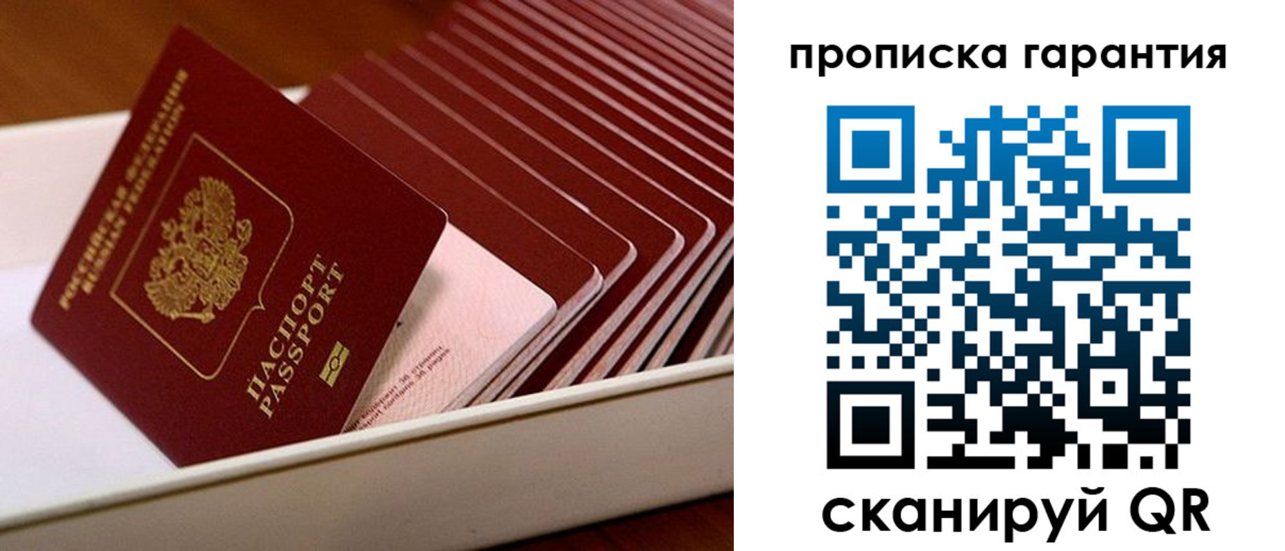 прописка поиск в Котласе